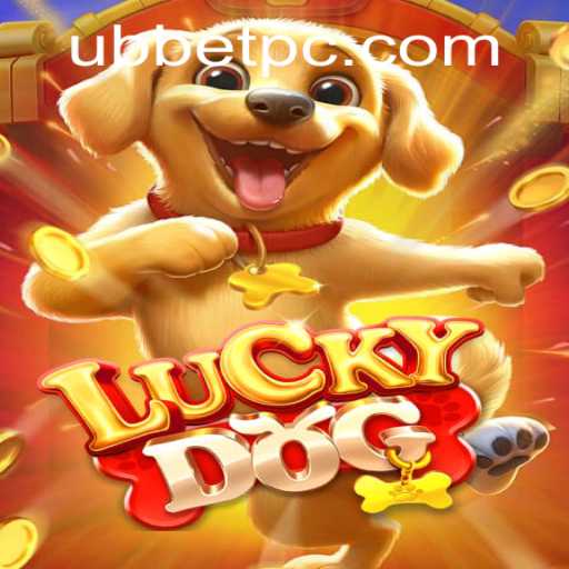 Exploring LuckyDog: The Game of Chance and Strategy